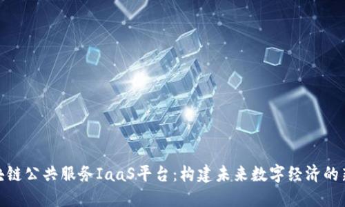 : 区块链公共服务IaaS平台：构建未来数字经济的新基石