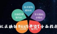 如何接入蚂蚁区块链BaaS平台？全面指南与最佳实