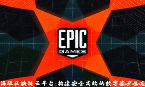 
海豚区块链云平台：构建安全高效的数字资产生态