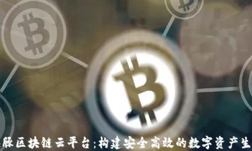 
海豚区块链云平台：构建安全高效的数字资产生态