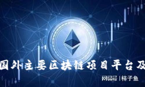 : 深入解析国外主要区块链项目平台及其应用现状