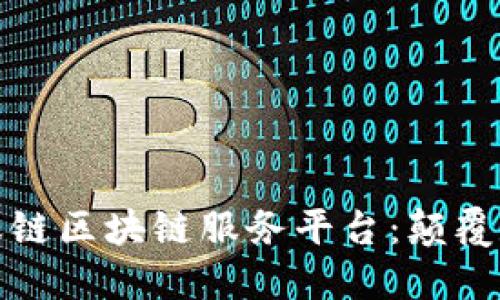 : 深入了解蚂蚁链区块链服务平台：颠覆数字经济的未来