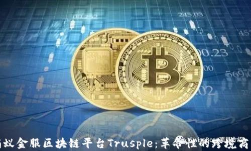 
全面解析蚂蚁金服区块链平台Trusple：革命性的跨境商业解决方案