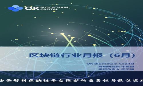 全面解析区块链平台维护的重要性与最佳实践