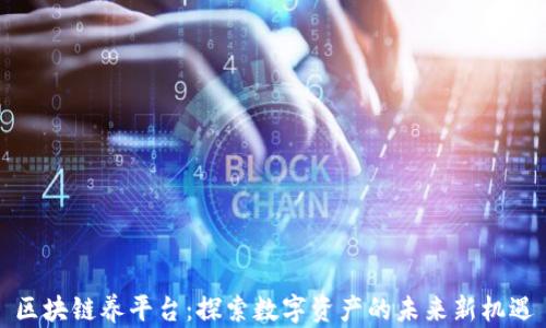 
区块链养平台：探索数字资产的未来新机遇