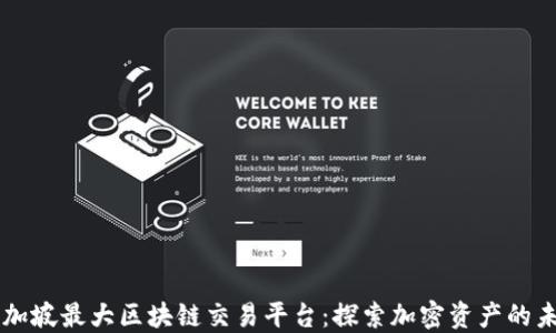 
新加坡最大区块链交易平台：探索加密资产的未来
