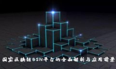 国家区块链BSN平台的全面解析与应用前景