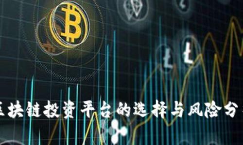 区块链投资平台的选择与风险分析