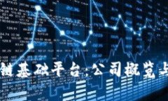 主流区块链基础平台：公司概览与趋势分析