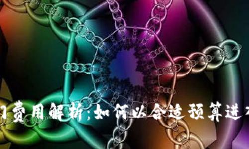 区块链平台入门费用解析：如何以合适预算进入数字货币世界