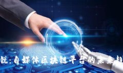 :探索克劳锐：自媒体区块链平台的未来趋势与机