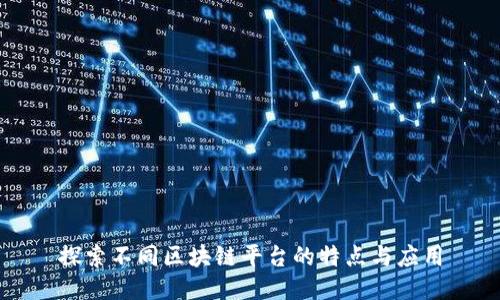 探索不同区块链平台的特点与应用