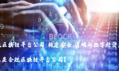 合规区块链平台公司：构建安全、透明的数字经