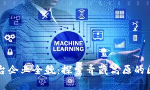 西宁区块链平台企业全貌：探索青藏高原的区块链创新之路