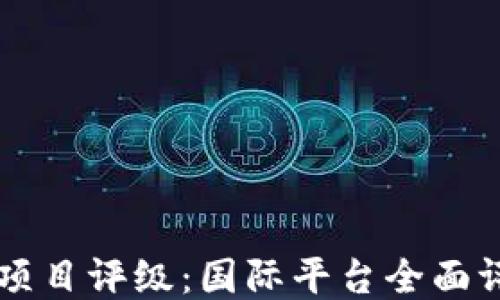 
区块链项目评级：国际平台全面评测指南
