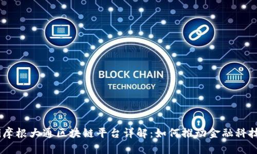 biasoti摩根大通区块链平台详解：如何推动金融科技的未来