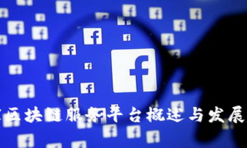 国家区块链服务平台概述与发展趋势